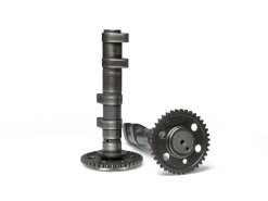 ALBERO A CAMME DOUBLE POWER CAM MALOSSI YAMAHA T MAX / TECH MAX 560 IE 4T LC EURO5+ 2025 (J421E)