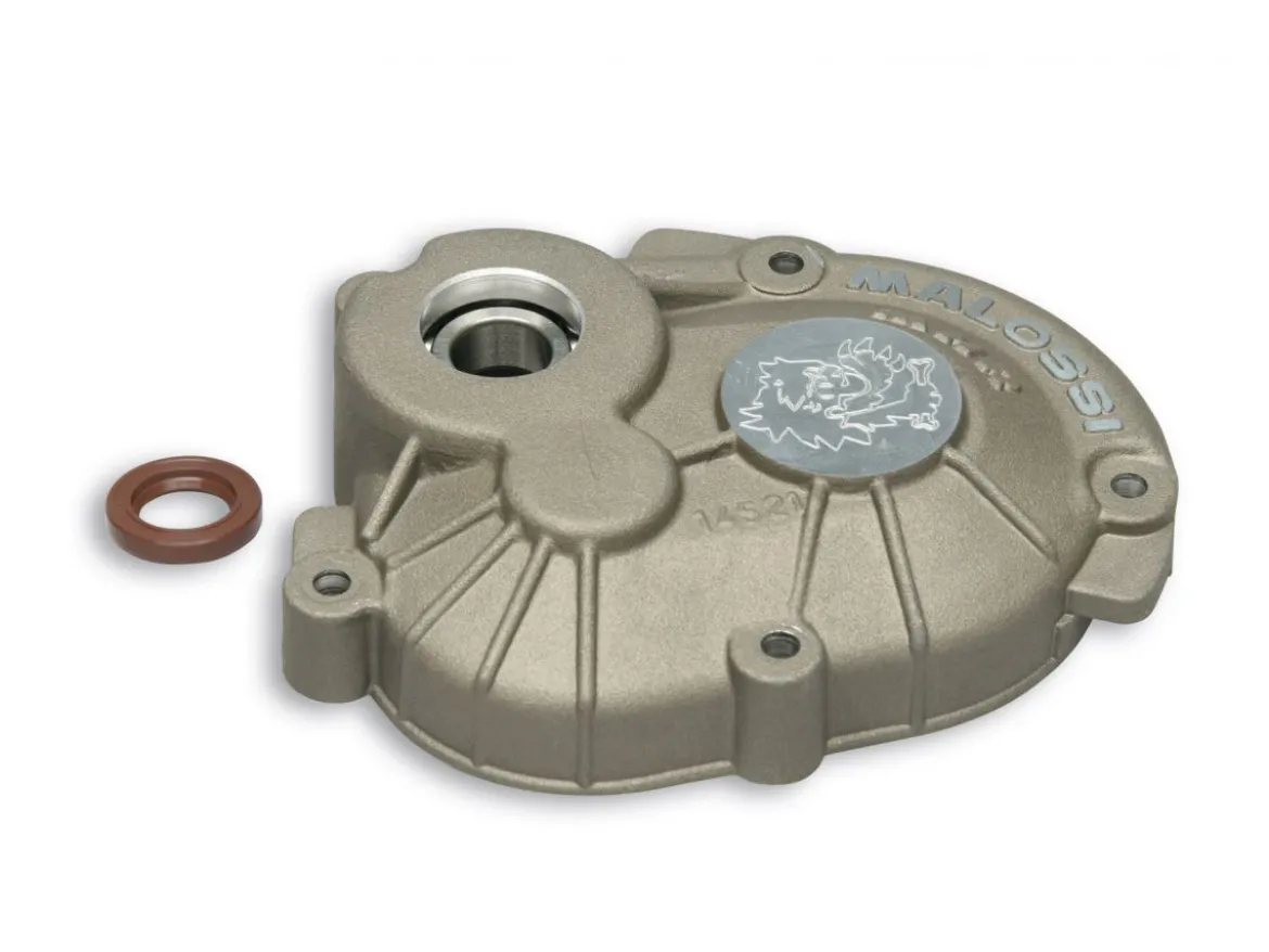 CARTER INGRANAGGI ROLLER CRANKCASE PER MOTORI PIAGGIO MALOSSI GILERA ICE 50 2T