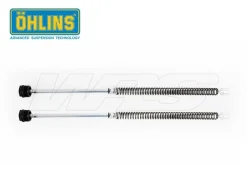 CARTUCCIA FORCELLA OHLINS HONDA MSX 125 2020-2021
