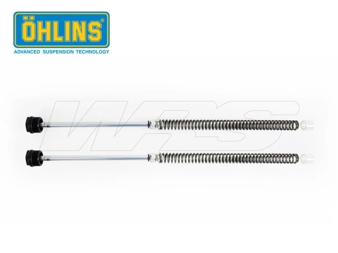 CARTUCCIA FORCELLA OHLINS HONDA MSX 125 2020-2021