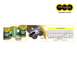 CATENA REGINA 135ZRE PASSO 520 KTM LC4-E 400 2002