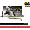 CATENA REGINA 135ZRE PASSO 520 TM EN 530 4T 2004