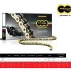 CATENA REGINA 135ZRP PASSO 520 BIMOTA DB 2 1992