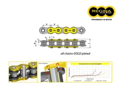 CATENA REGINA 135ZRT PASSO 520 BENELLI BN 125 15+