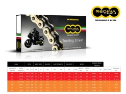 CATENA REGINA 135ZRT PASSO 520 DUCATI SS 400 93-95