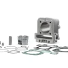 CILINDRO 49 IN ALLUMINIO CON SPINOTTO 13 4-STROKE MALOSSI PIAGGIO LIBERTY 50 4T