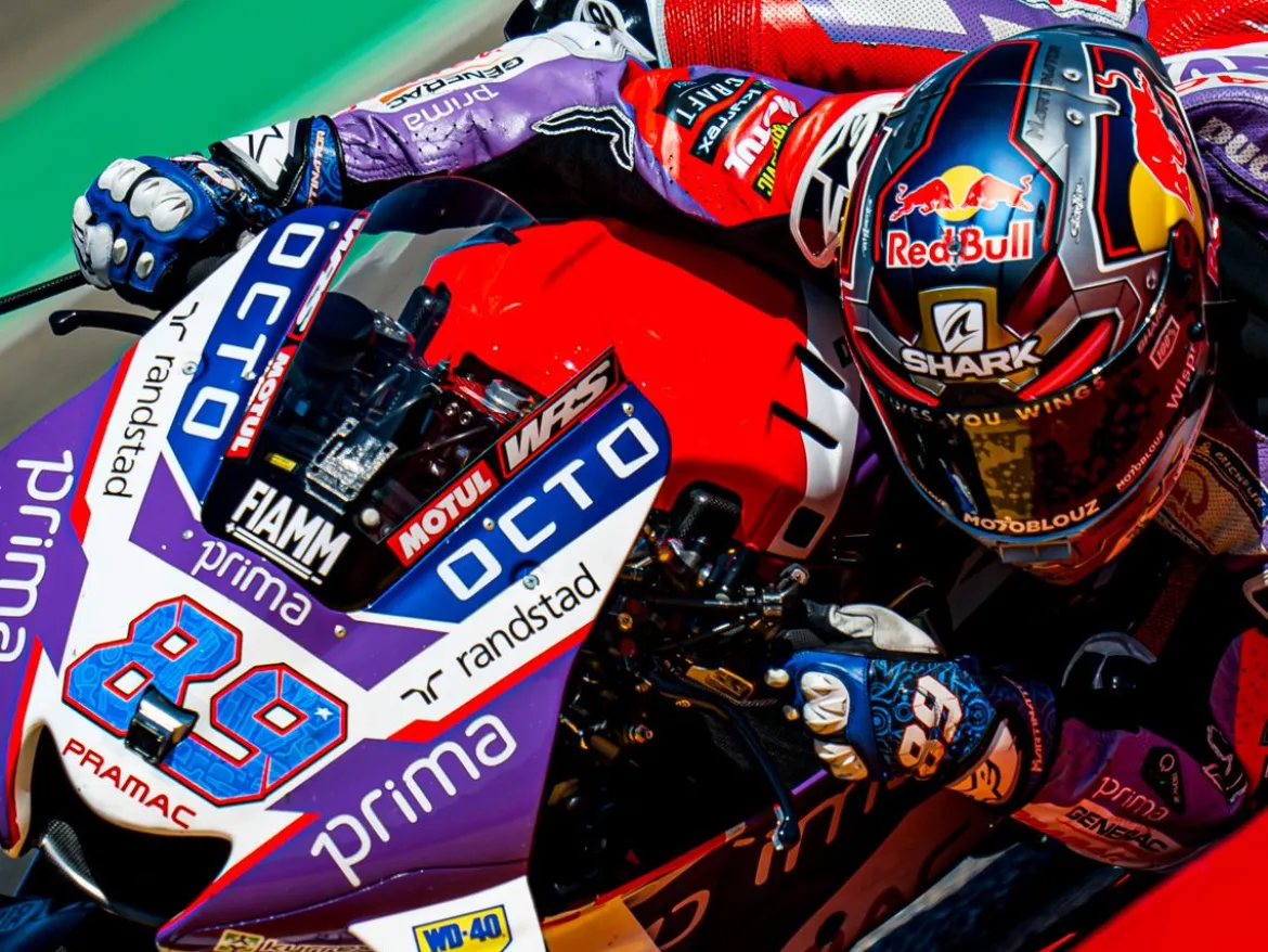 COPPIA ADESIVI CUPOLINO WRS VERSIONE TEAM MOTOGP