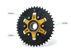 CORONA Z42 P525 6 FORI CNC RACING DUCATI MULTISTRADA V4 RALLY 2023-2024