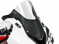 COVER CUPOLINO CARBONSKIN CARBONIO TWILL LUCIDO WRS BMW S 1000 RR 2019-2022