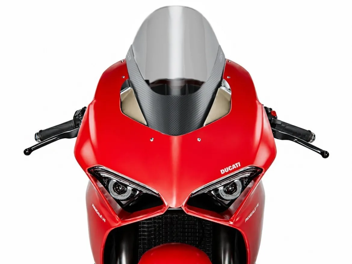 COVER CUPOLINO CARBONSKIN CARBONIO PLAIN OPACO WRS DUCATI PANIGALE V2 2020-2024