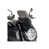 CUPOLINO AEROSPORT BARRACUDA DUCATI DIAVEL 2010-2013