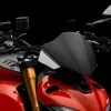 CUPOLINO CARBONIO RIZOMA DUCATI STREETFIGHTER V4 / S 2020-2024