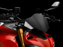 CUPOLINO CARBONIO RIZOMA DUCATI STREETFIGHTER V4 / S 2020-2024