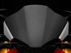 CUPOLINO CARBONIO RIZOMA DUCATI STREETFIGHTER V4 / S 2020-2024