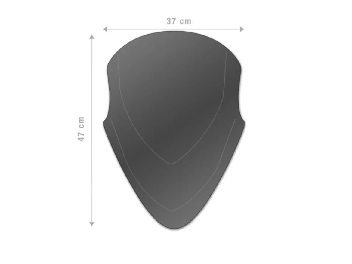 CUPOLINO FUME' SCURO BARRACUDA DUCATI MULTISTRADA V4 S 2022-2024