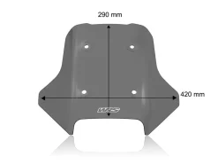 CUPOLINO SPORT FUME SCURO WRS CFMOTO 450 MT 2024-2026
