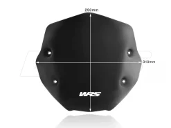 CUPOLINO SPORT WRS NERO OPACO BMW R 1250 R 2019-2024
