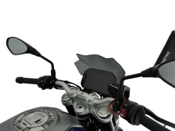 CUPOLINO TOURING FUME' SCURO WRS BMW F 900 R 2018-2026