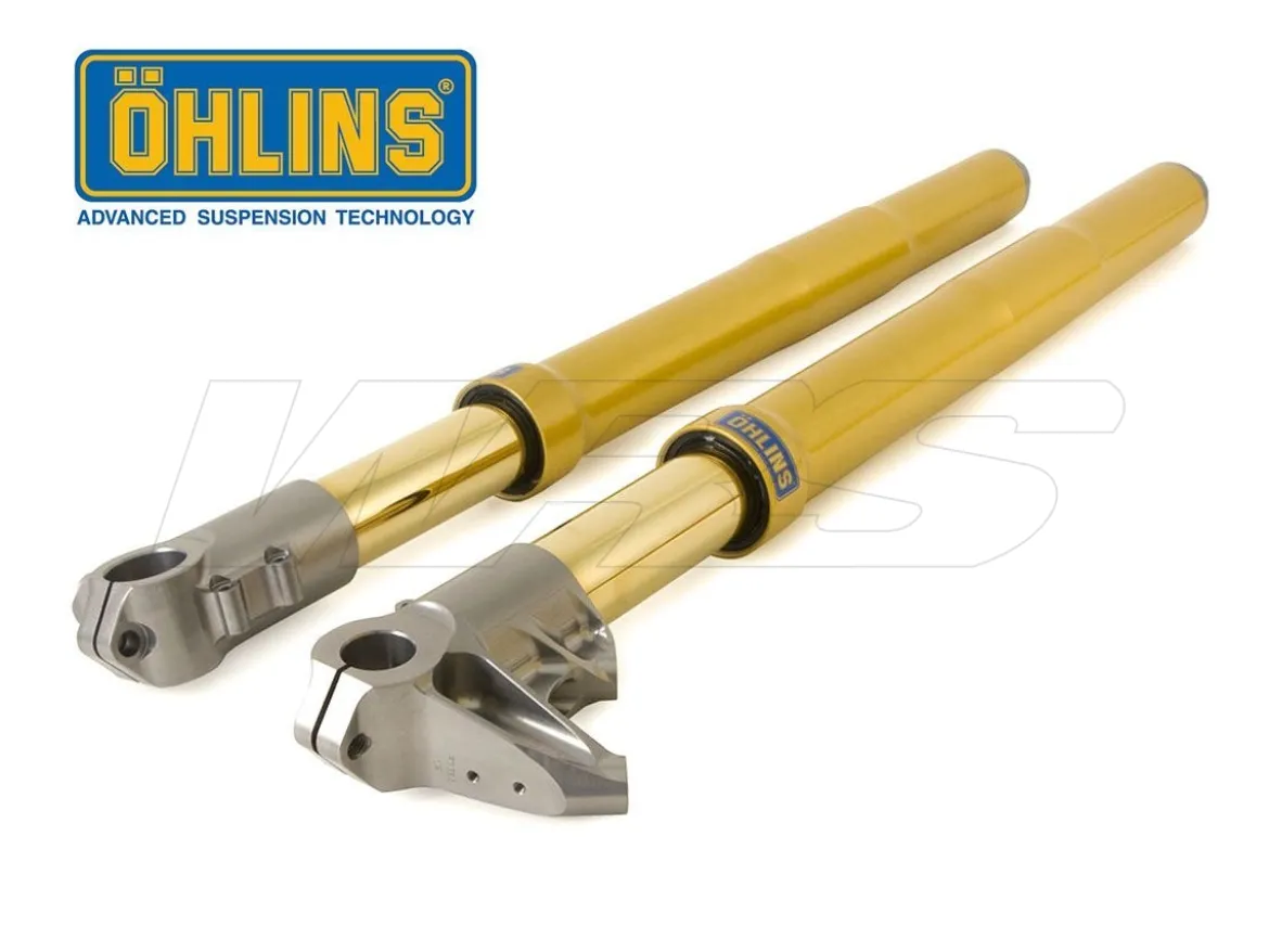 FORCELLA OHLINS FG 595 UNIVERSALE MOTO3 38MM