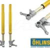 FORCELLA OHLINS ORO FGR250 UNIVERSALE 770MM SUPERBIKE / MOTO2