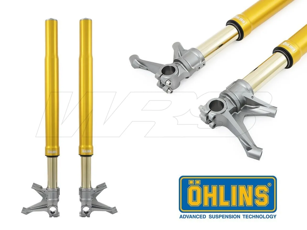 FORCELLA OHLINS ORO FGR250 UNIVERSALE 770MM SUPERBIKE / MOTO2
