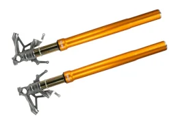 FORCELLA OHLINS ORO FGR 250 YAMAHA R1 / M 2015-2023