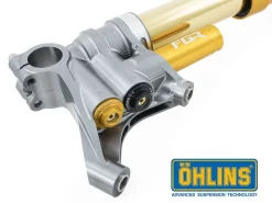FORCELLA OHLINS SUPERBIKE FGR301 43MM UNIVERSALE
