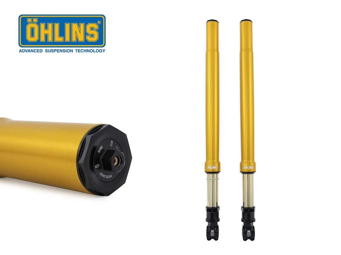 FORCELLA REGOLABILE OHLINS CUSTOM 43 USD UNIVERSALE (ORO)