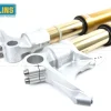 FORCELLA R&T OHLINS NIX 43MM BMW R NINE T 2014-2016 ORO