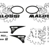 KIT ADESIVI TROFEO VESPA MALOSSI VESPA PRIMAVERA 50 2T EURO 2 (C533M)