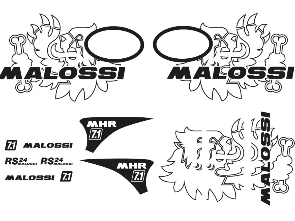 KIT ADESIVI TROFEO VESPA MALOSSI VESPA PRIMAVERA 50 2T EURO 2 (C533M)
