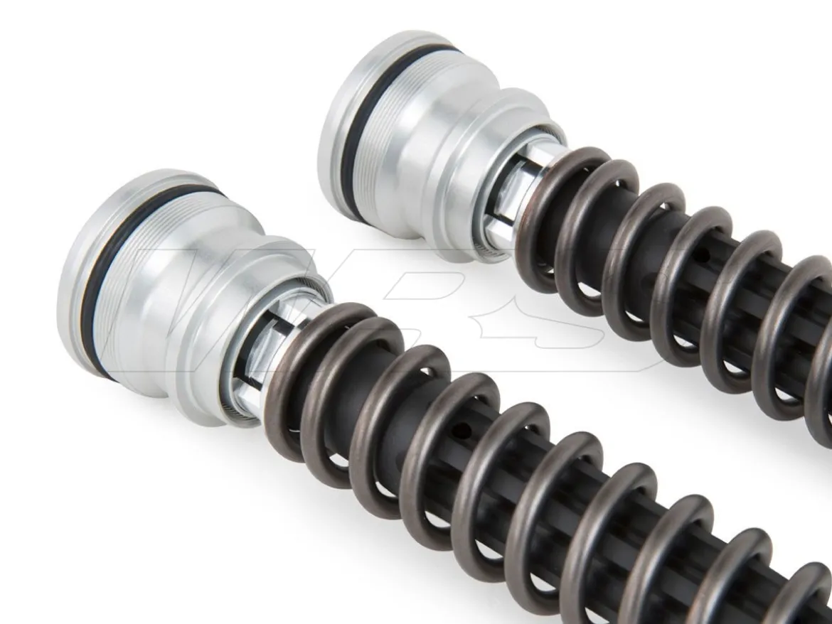 KIT CARTUCCIA FORCELLA OHLINS TTX 25MM DUCATI PANIGALE V4 R (FORK OHLINS) 2019-2022