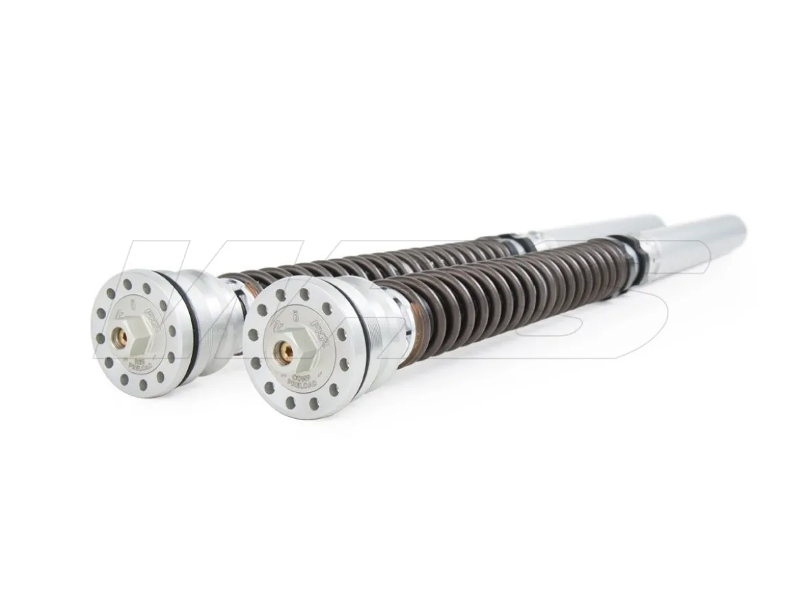 KIT CARTUCCIA FORCELLA OHLINS TTX 25MM DUCATI PANIGALE V4 R (FORK OHLINS) 2019-2022