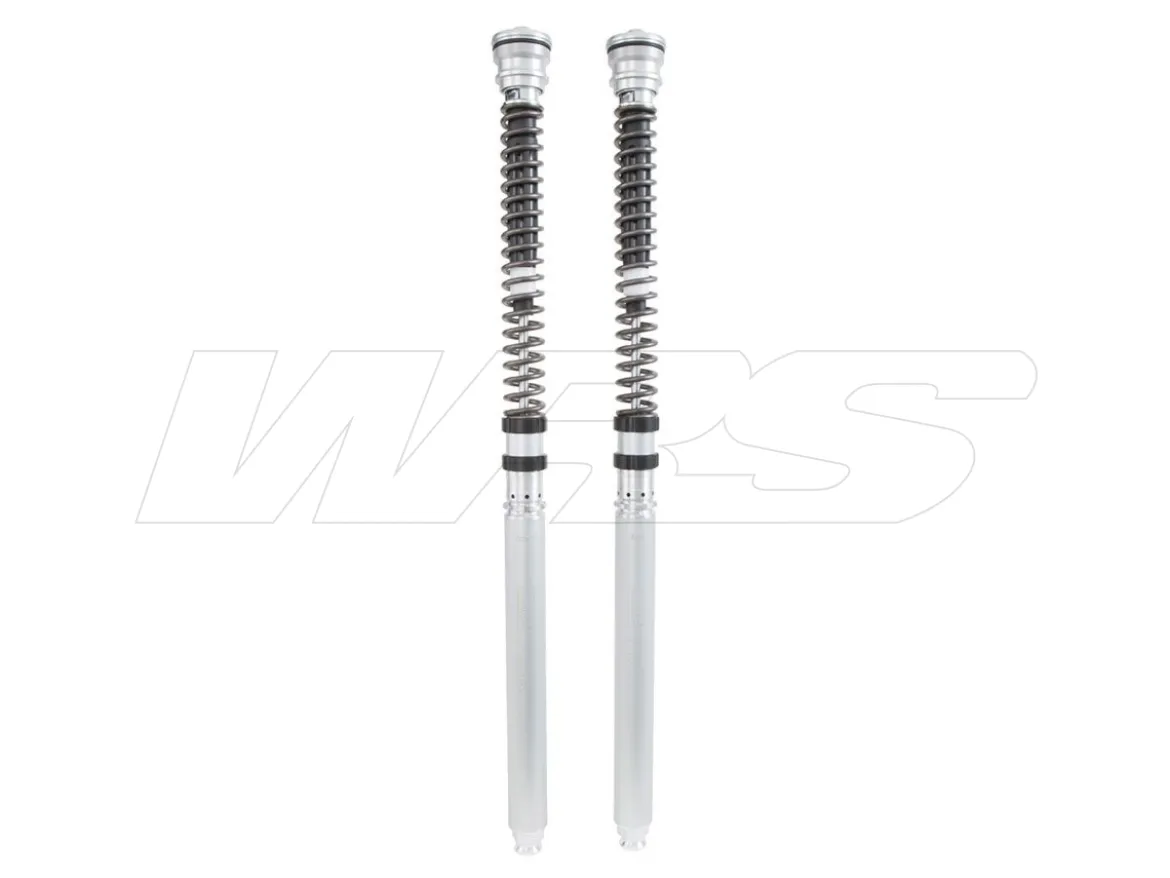 KIT CARTUCCIA FORCELLA OHLINS TTX 25MM SUZUKI GSX-R 1000 R 2017-2022