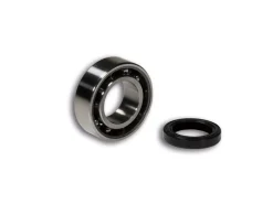 KIT CUSCINETTO A SFERE PARAOLIO MALOSSI VESPA ET3 PRIMAVERA 125 2T