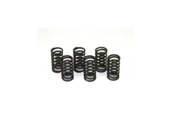 KIT MOLLE FRIZIONE VERNICIATE DBK DUCATI 1098 / 1198