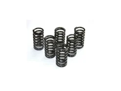 KIT MOLLE FRIZIONE VERNICIATE DBK DUCATI 1098 / 1198