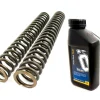 KIT MOLLE OLIO FORCELLA OHLINS BMW F 700 GS 2013-2014