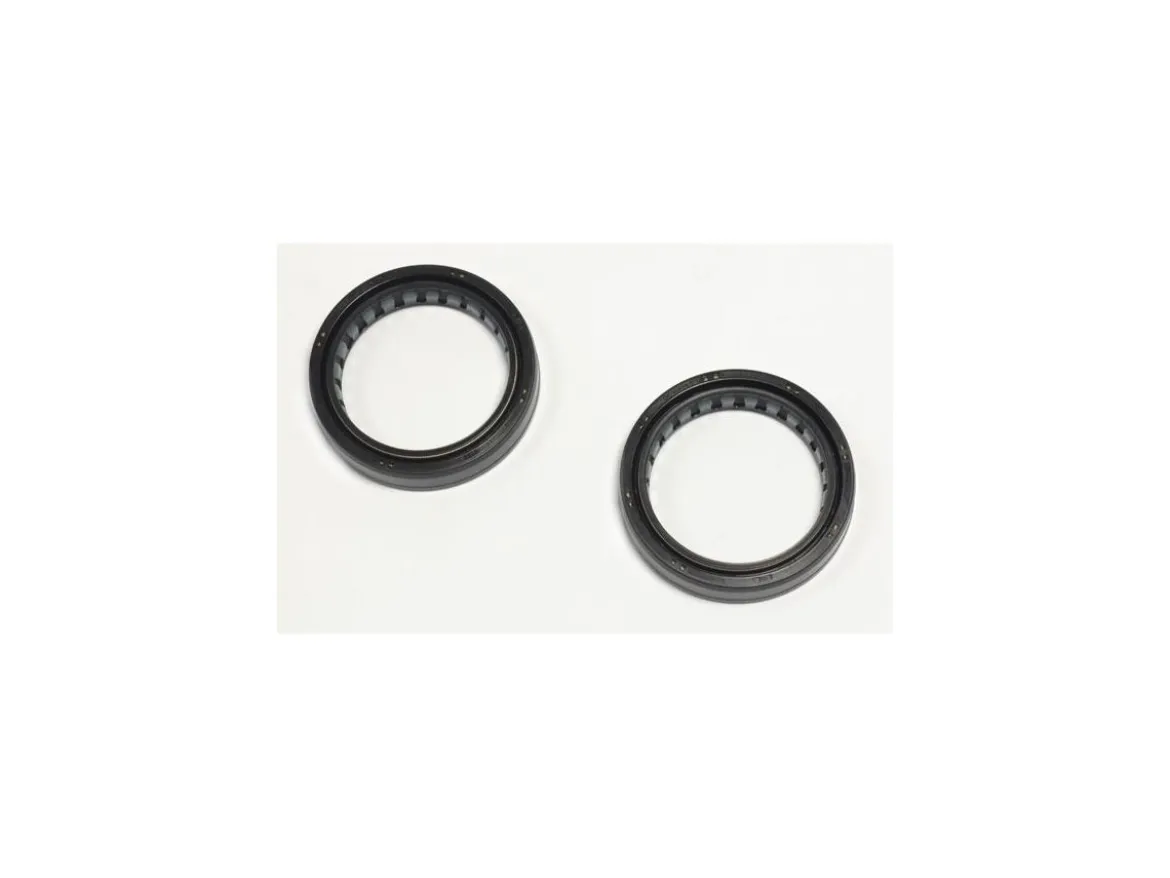 KIT PARAOLIO FORCELLA NOK ATHENA BMW HP2 1200 ENDURO 2004-2006