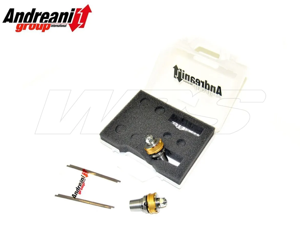 KIT PISTONI + FUNGHETTO ANDREANI HUSQVARNA NUDA 900 R 2012