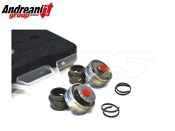 KIT PISTONI POMPANTI BPF ANDREANI FORCELLA SHOWA DUCATI PANIGALE 899/959 2013-17