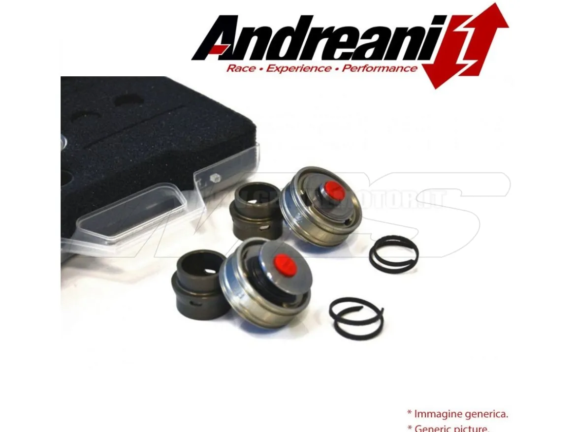 KIT PISTONI POMPANTI FORK SHOWA BPF SUZUKI GSX-R 1000 2009-2011