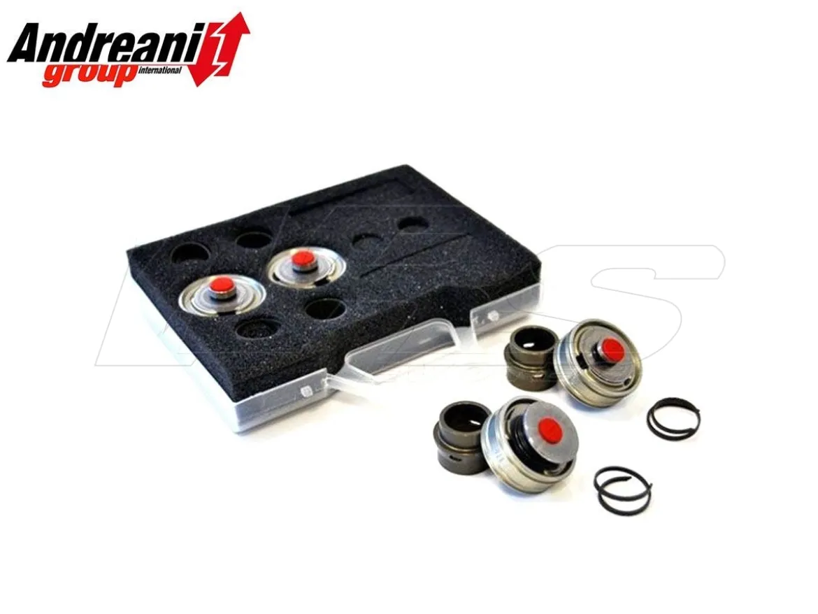 KIT PISTONI POMPANTI FORK SHOWA BPF SUZUKI GSX-R 1000 2009-2011