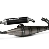 MARMITTA SCOOTER RACING MALOSSI PIAGGIO TYPHOON 50 2T 2007-2010