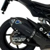 PARACALORE CARBONIO TERMIGNONI BMW S 1000 RR / M 1000 RR 2019-2025