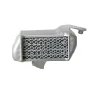 RADIATORE OLIO MAGGIORATO H2O PERFORMANCE HONDA MOTO 3