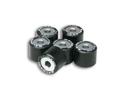 6 RULLI HTROLL 20X17 GR. 11,5 MALOSSI GARELLI XO' 125 IE 4T EURO 3 (1P52 QMI-2)