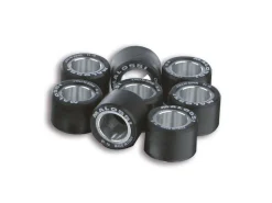 8 RULLI HTROLL 28,2X19,9 GR. 24 MALOSSI HONDA SW-T 400 4T LC EURO 3 (NF01E)
