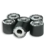 6 RULLI HTROLL 25X22,2 GR. 24 MALOSSI PIAGGIO BEVERLY 500 IE 4T LC EURO 2-3