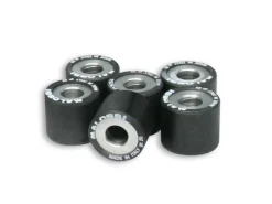 6 RULLI HTROLL 25X22,2 GR. 24 MALOSSI PIAGGIO BEVERLY 500 IE 4T LC EURO 2-3